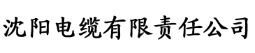 亚洲一区二区三区国产电缆厂logo